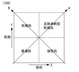 全女性の肌感覚をポジショニング判定,IP肌診断,D&O識別面